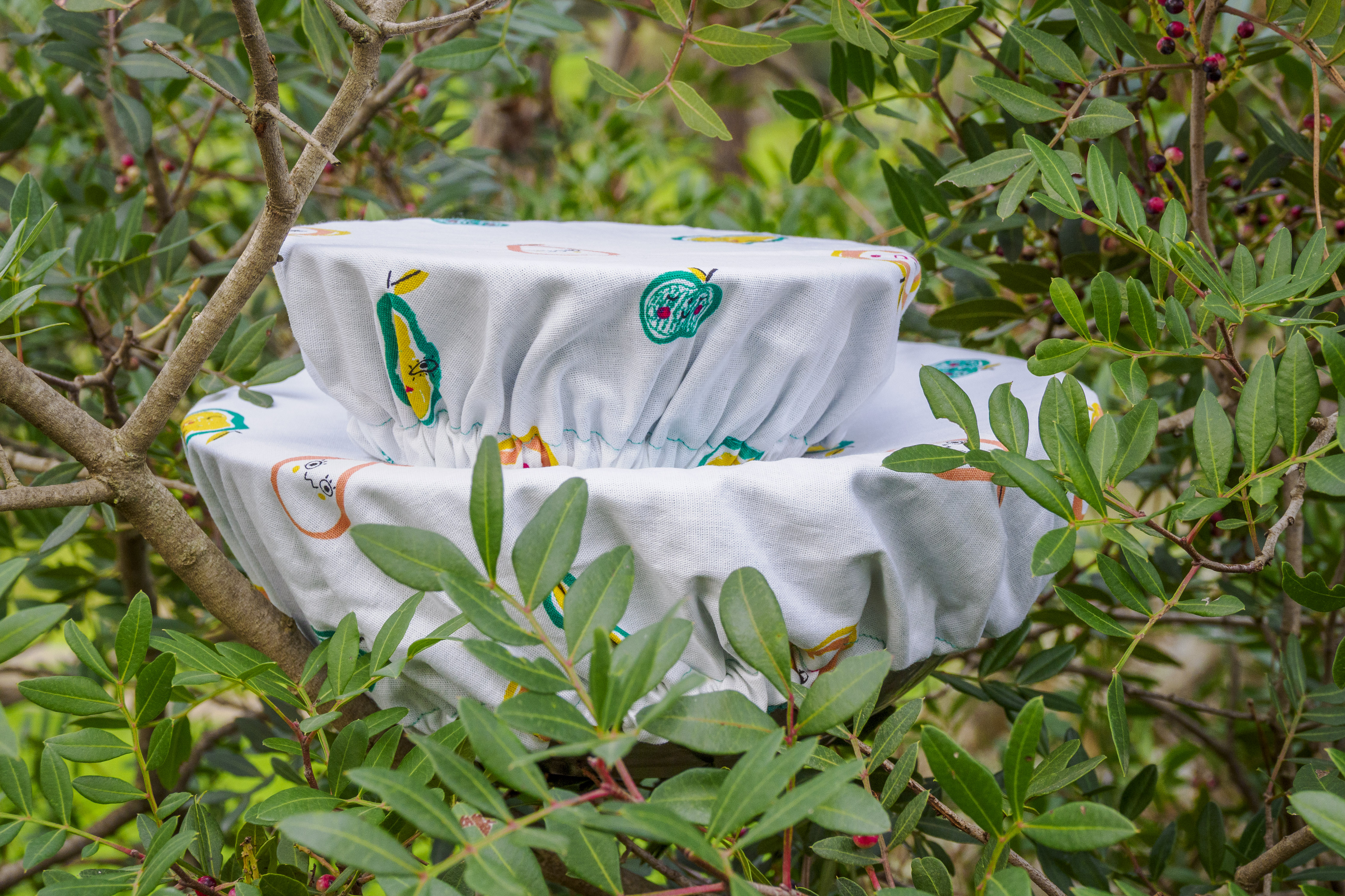 Recouvre bols | Duo de gardiens gourmands en coton réversible